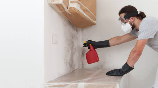 Professional Bathroom Mold Removal technician working in Thompson's Station, TN