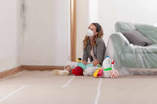Reliable Bathroom Mold Removal contractor in Thompson's Station, TN by Mold Remediation HQ